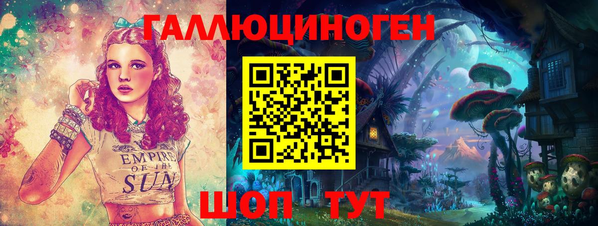 Галлюциногенные грибы Psilocybe Чернушка