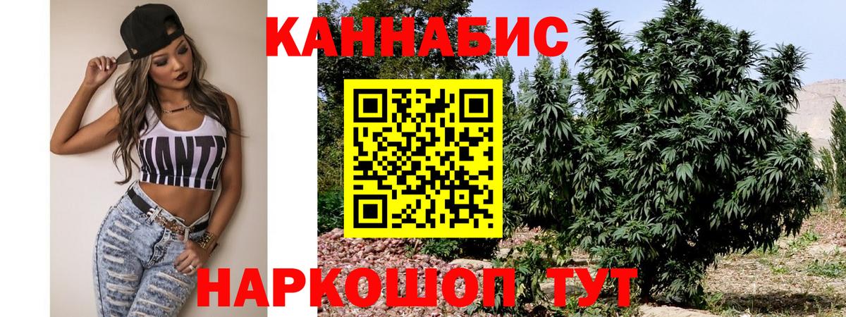 Бошки марихуана White Widow  Вход с VPN  Чернушка  Конопля планчик  Бошки Шишки OG Kush 